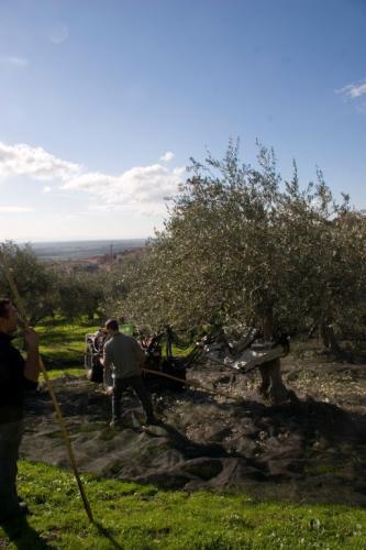 Servizi - in campagna (71)